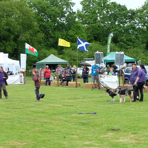 Tadley Treacle Fair 2015